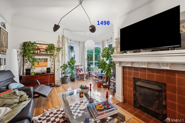 living room with a fireplace and wood finished floors