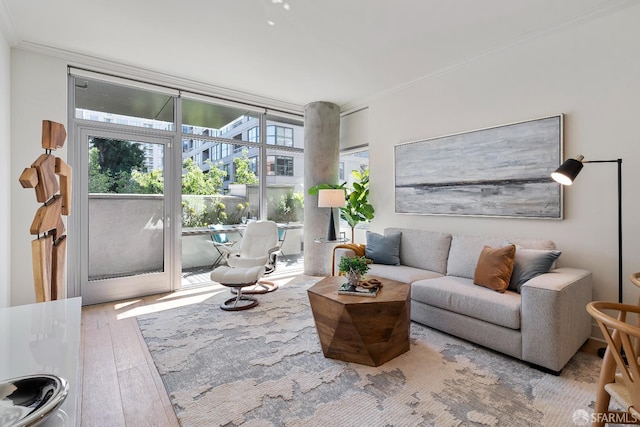 72 Townsend St Unit 302, San Francisco, CA 94107 - living area with ornamental molding and hardwood / wood-style flooring