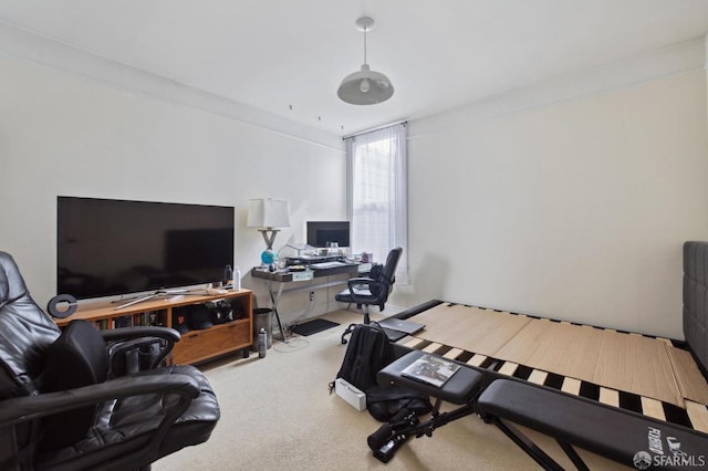 carpeted office with ornamental molding