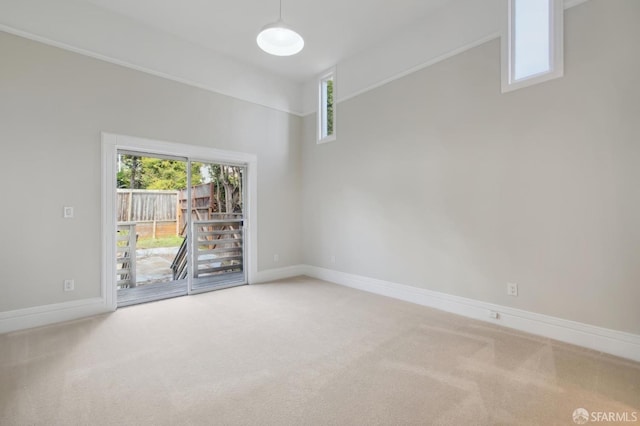 carpeted spare room with a wealth of natural light and a high ceiling