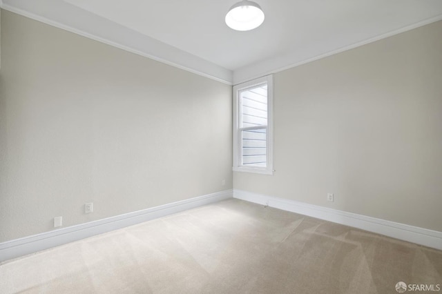 unfurnished room with crown molding and carpet flooring