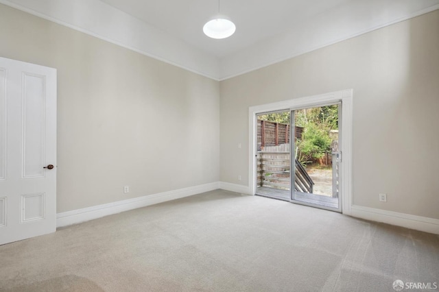 spare room featuring carpet floors