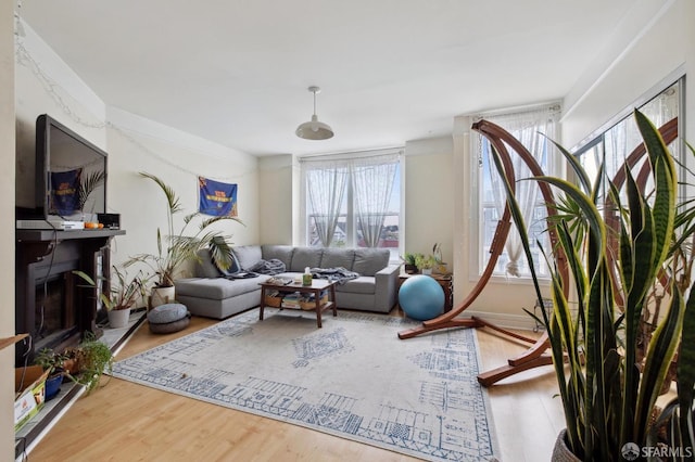 living room featuring plenty of natural light and hardwood / wood-style floors