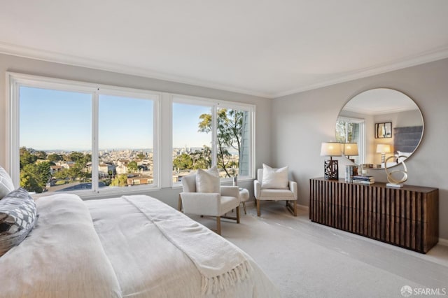 bedroom featuring crown molding, light colored carpet, and radiator