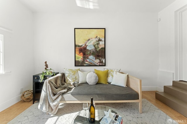 living room with wood-type flooring