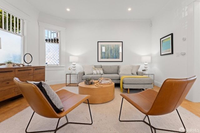 living room featuring light hardwood / wood-style flooring