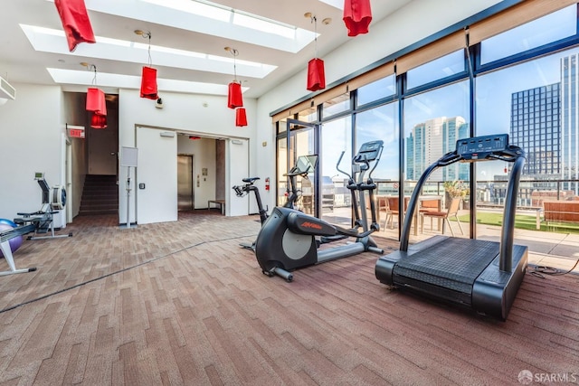 workout area with a skylight