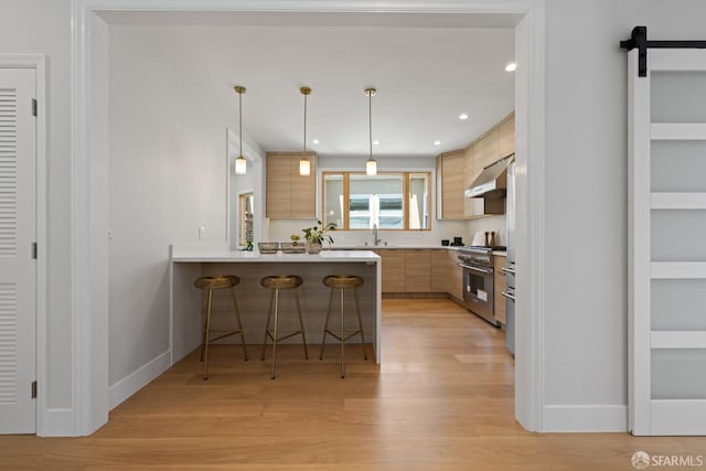 kitchen featuring stainless steel range, under cabinet range hood, modern cabinets, light wood finished floors, and a peninsula