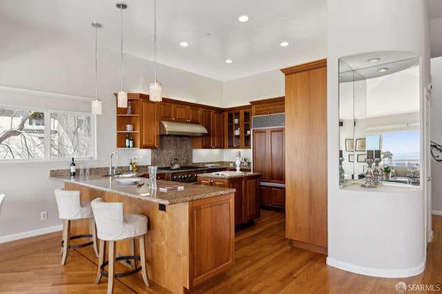 kitchen with stainless steel range with gas stovetop, a sink, wood finished floors, paneled refrigerator, and under cabinet range hood