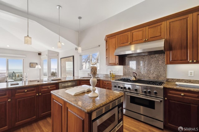 kitchen featuring appliances with stainless steel finishes, a healthy amount of sunlight, stone countertops, and under cabinet range hood