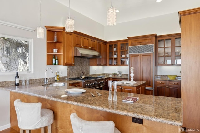 kitchen featuring premium appliances, glass insert cabinets, light stone countertops, under cabinet range hood, and a sink