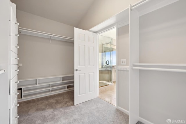 spacious closet featuring carpet