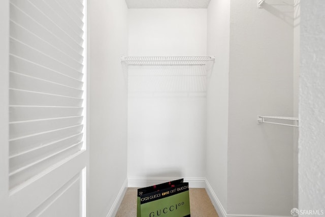 855 La Playa St Unit 360, San Francisco, CA 94121 - walk in closet featuring carpet floors