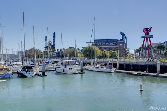 dock area with a water view