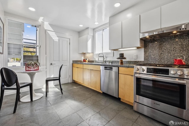 kitchen with tasteful backsplash, range hood, a wealth of natural light, and stainless steel appliances
