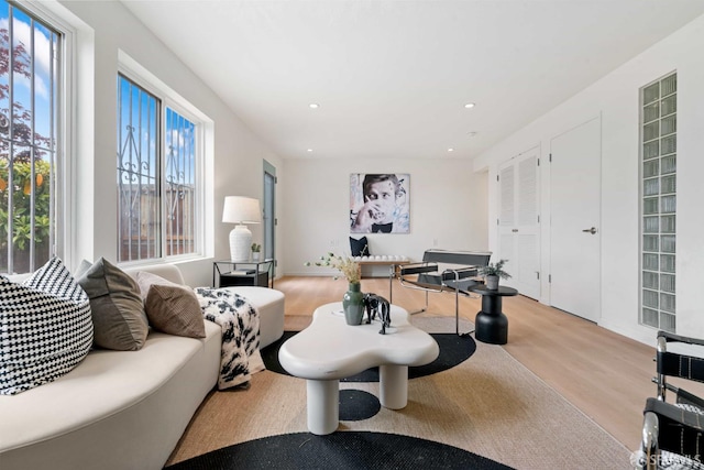 372 Baltimore Way, San Francisco, CA 94112 - living room featuring light wood-type flooring and recessed lighting