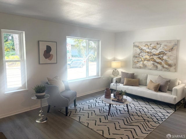 450 Carl St, San Francisco, CA 94117 - living room with wood finished floors and plenty of natural light