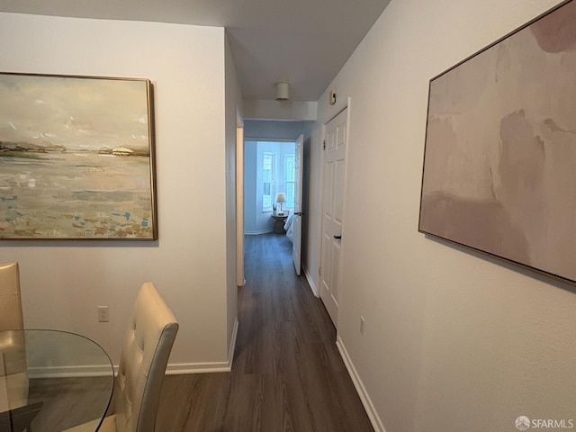 450 Carl St, San Francisco, CA 94117 - hall with wood finished floors and baseboards