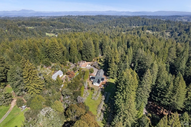 drone / aerial view with a view of trees and a mountain view