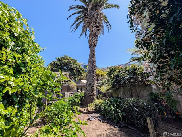 3639 Mission St, San Francisco, CA 94110 - photo 24