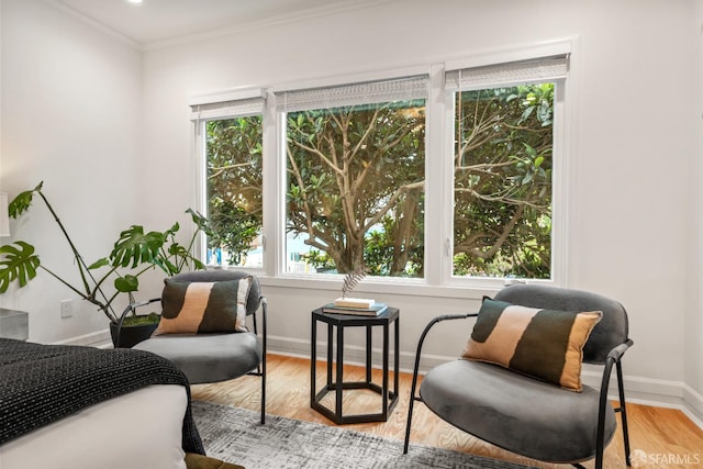 1871 Alemany Blvd, San Francisco, CA 94112 - living area with plenty of natural light, baseboards, light wood-style floors, and ornamental molding