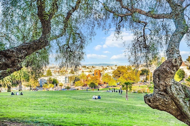 view of property's community featuring a lawn