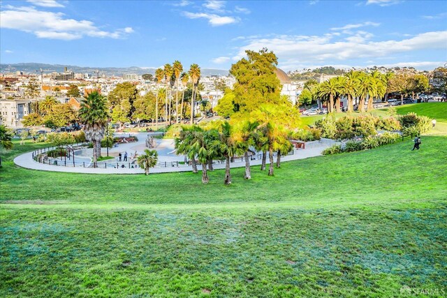 view of property's community with a yard