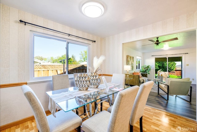 dining room with light hardwood / wood-style floors and ceiling fan