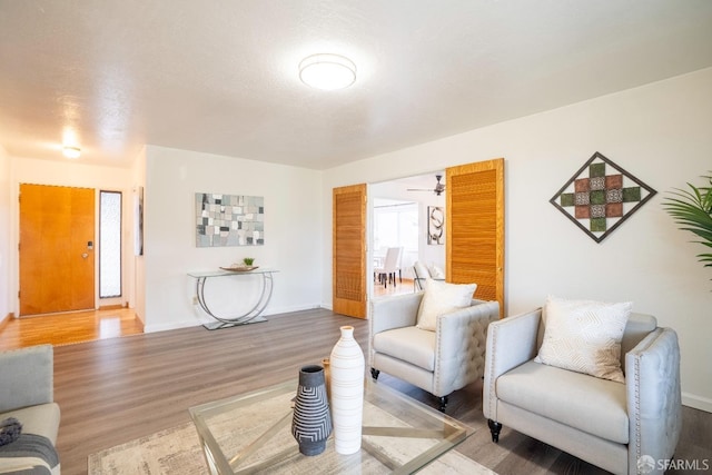 living room featuring hardwood / wood-style floors