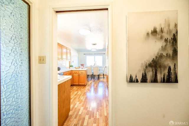 hall featuring light hardwood / wood-style flooring