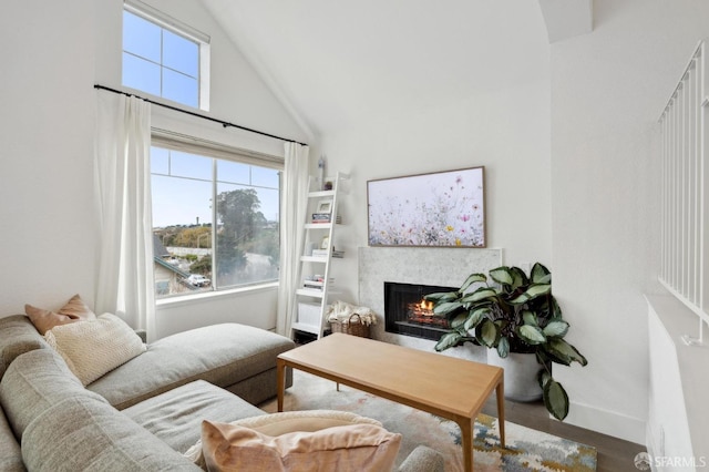 living room featuring hardwood / wood-style floors and high vaulted ceiling