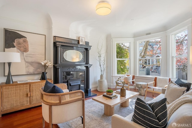 living area with wood finished floors and a glass covered fireplace