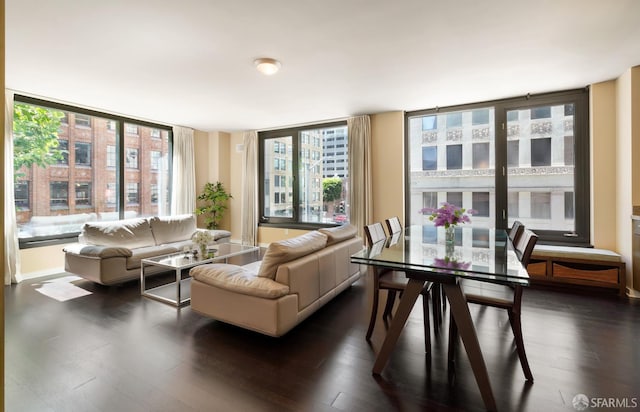 living room with a wealth of natural light, expansive windows, and dark hardwood / wood-style flooring