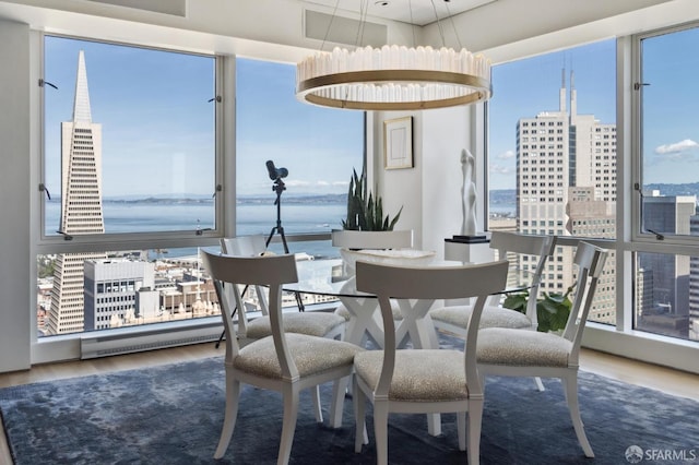 dining room featuring a water view, plenty of natural light, and wood finished floors