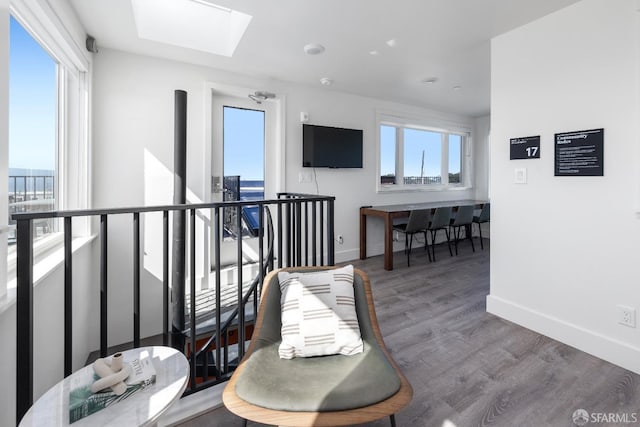 interior space featuring hardwood / wood-style flooring, a skylight, and a wealth of natural light