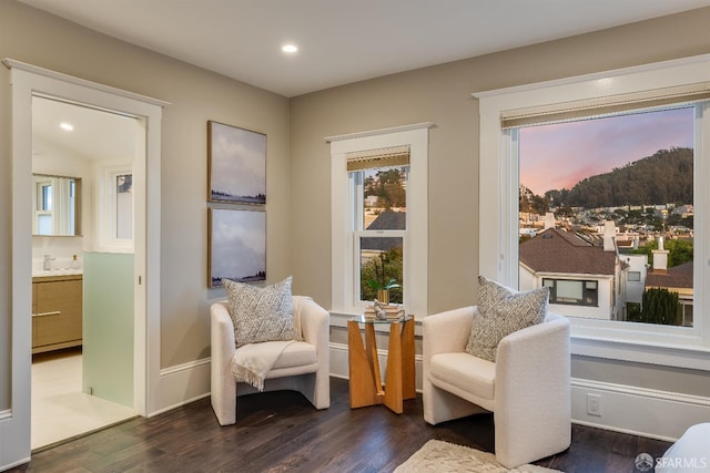 living area with dark hardwood / wood-style flooring