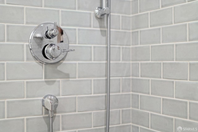 interior details featuring walk in shower