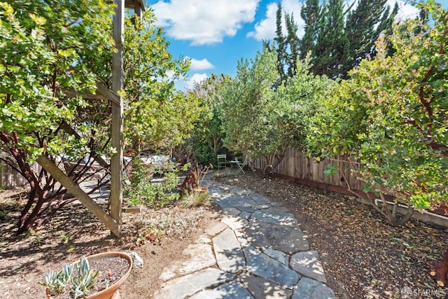 3735 Cesar Chavez St, San Francisco, CA 94110 - photo 40