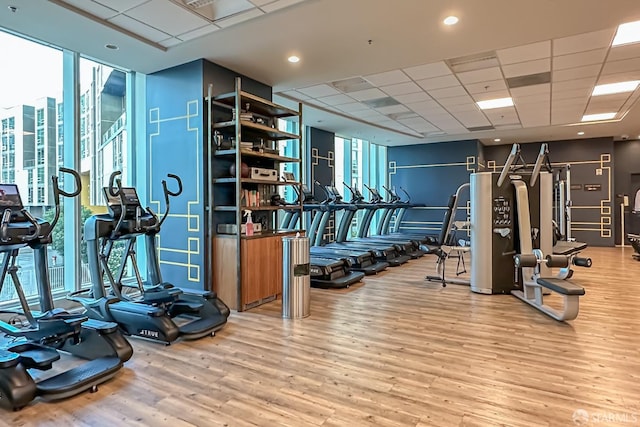 exercise room featuring hardwood / wood-style floors and a paneled ceiling