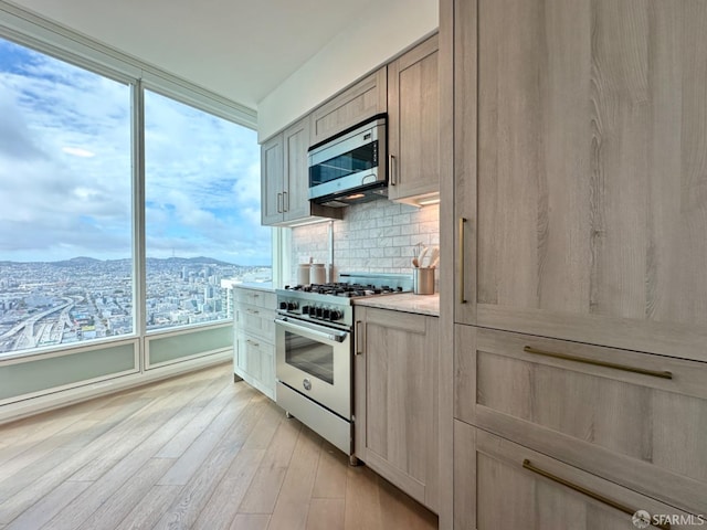 kitchen featuring a mountain view, appliances with stainless steel finishes, plenty of natural light, and light wood-type flooring