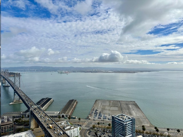 401 Harrison St Unit 48C, San Francisco, CA 94105 - property view of water featuring a floating dock