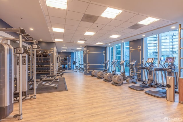 workout area featuring a drop ceiling, wood-type flooring, and expansive windows