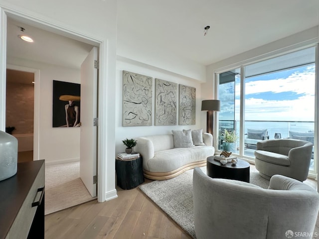 living room featuring light hardwood / wood-style floors