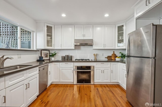 kitchen featuring dark countertops, under cabinet range hood, stainless steel appliances, and a sink