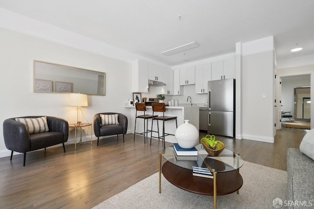 living room featuring sink and dark wood-type flooring