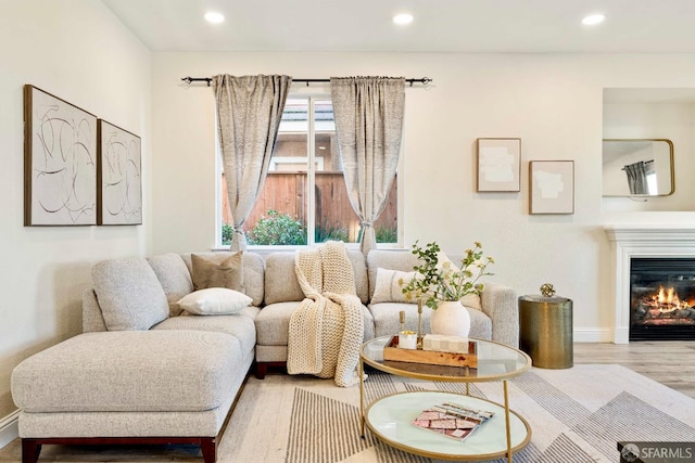 living room featuring hardwood / wood-style floors