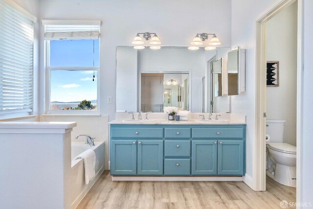 bathroom with wood-type flooring, vanity, a bathtub, and toilet