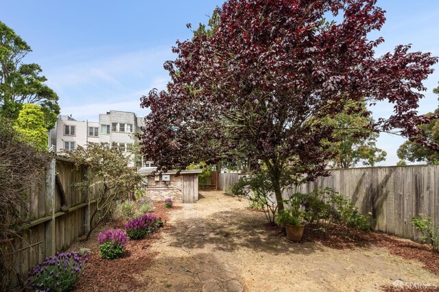 773 15th Ave, San Francisco, CA 94118 - fenced backyard with an outbuilding