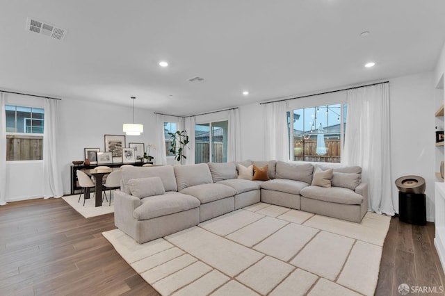 living room featuring wood-type flooring