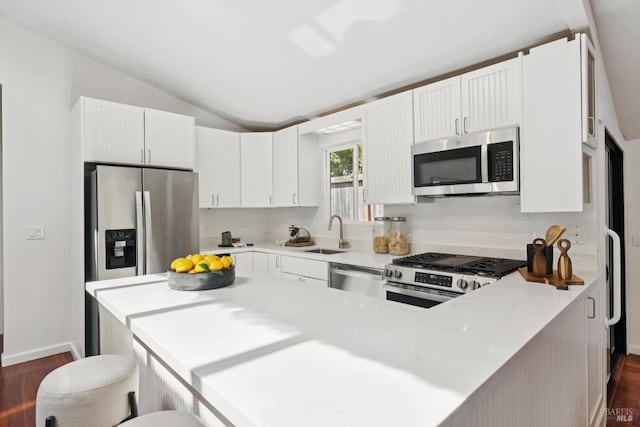 703 W St, Petaluma, CA 94952 - kitchen with stainless steel appliances, dark wood finished floors, lofted ceiling, light countertops, and a peninsula